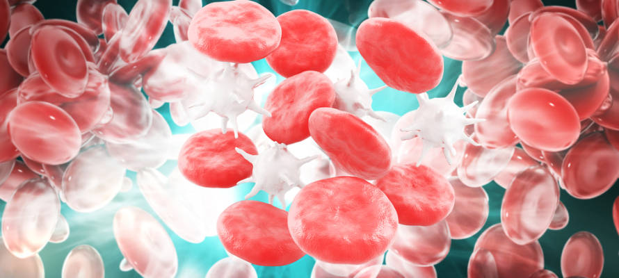 Good or bad white blood cells? (Shutterstock)