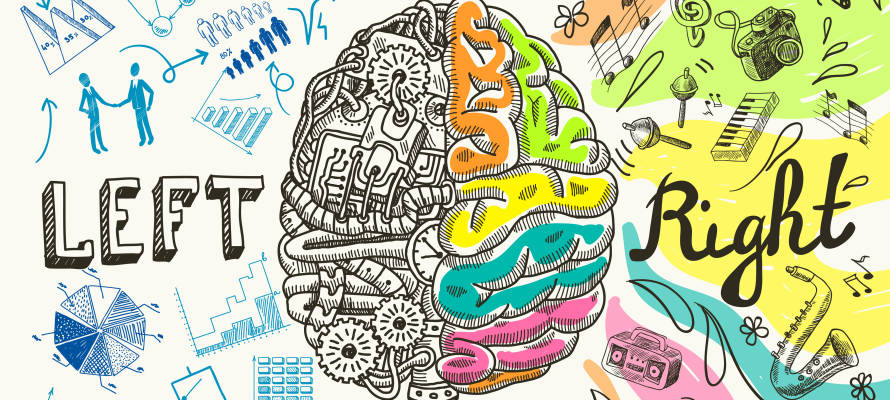 Israeli researchers aim to further explore the brain. (Shutterstock)