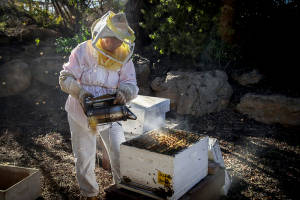 Yad Mordechai beekeeper