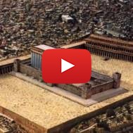 The Video That Palestinians Don't Want the World to See Exposing the Truth About Jerusalem and the Temple Mount