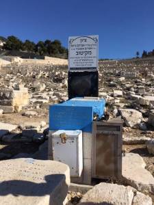 Gravestone Mount of Olives