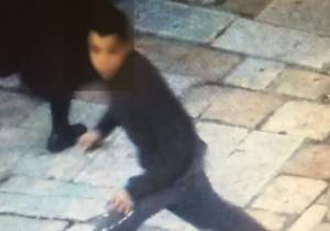 Teenage Arab terrorist suspect