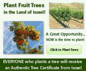 plant fruit trees in Israel